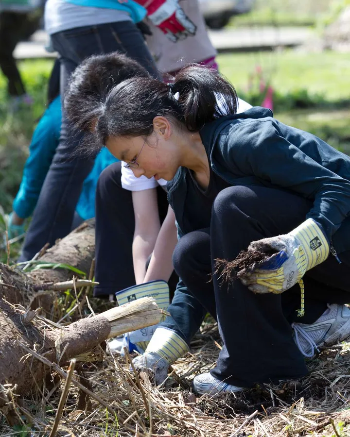Volunteers removing invasive plants, pictured on Richmond’s Partners for Beautification page.