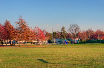 field and playground