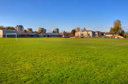field