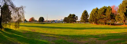 sports field