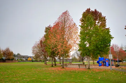 playground and field