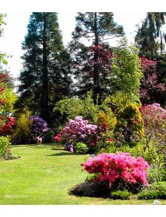 McLennan South Neighbourhood Park - east facing view of perennial garden and rhododendron borders