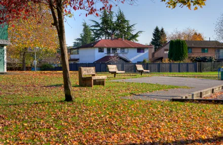 benches