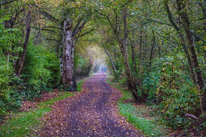 Shell Road Recreational Trail