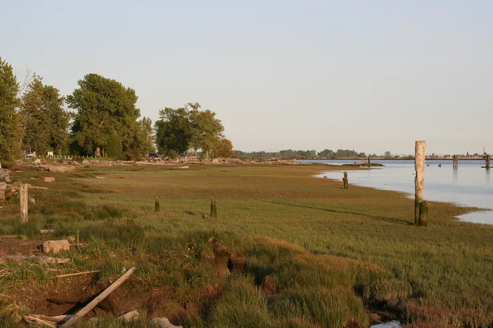 View of South Arm of the Fraser River from trail