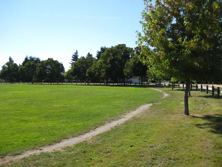 Tait Neighbourhood Park: view facing south-west
