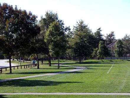 Talmey Park - west facing view of perimeter trail and open space