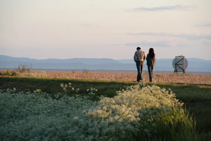 West Dyke Trail in spring
