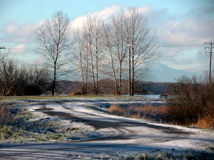 Woodward's Slough - west facing view toward entrance to park site